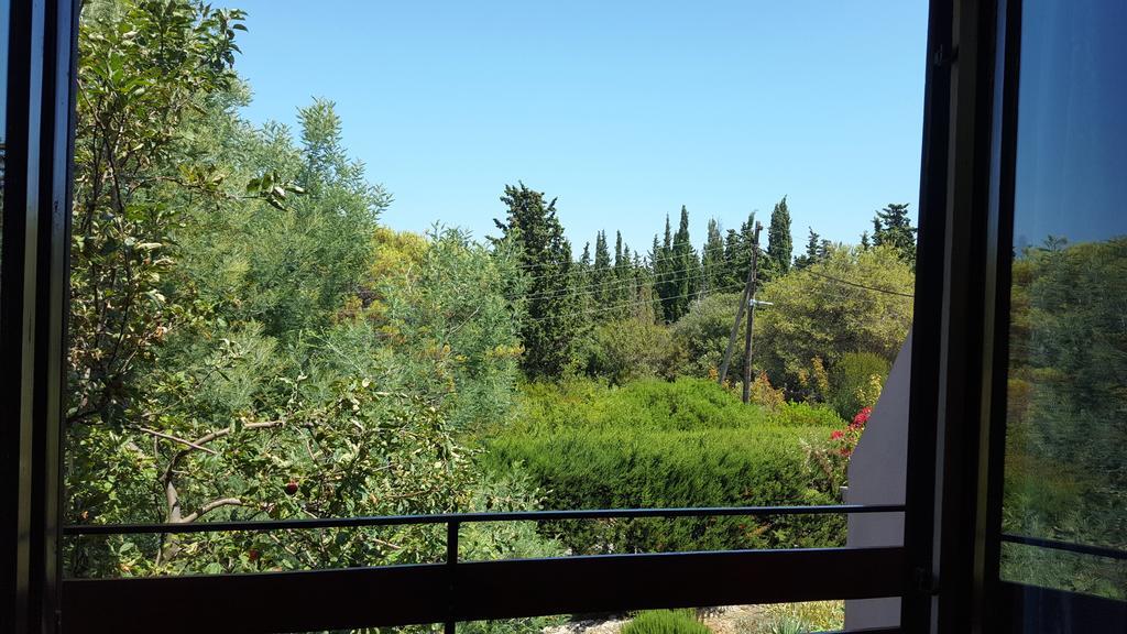 Apartments Vidakovic Ugljan Dış mekan fotoğraf